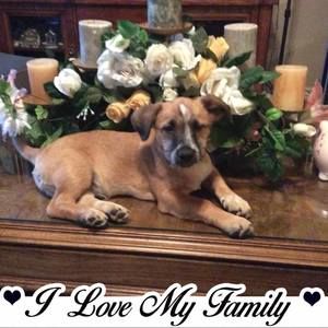 Meet your Posher, Constancio